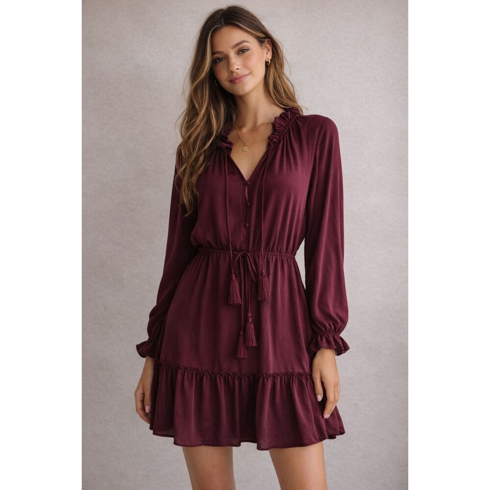 H&M Women’s Size 2 Boho Deep Wine Ruffle Neck Tie Waist Tassel Mini Dress #G
